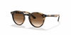 [Dark Brown Lenses, Polished Havana Frame]