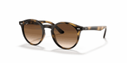 Dark Brown Lenses, Polished Havana Frame