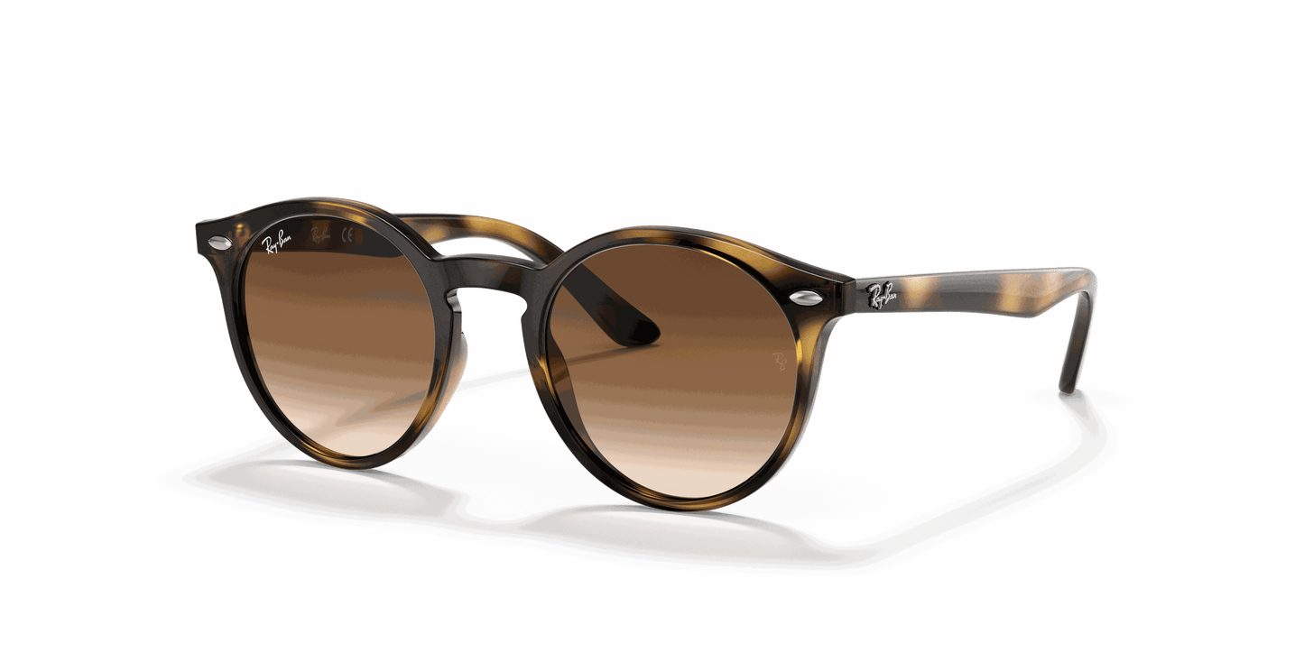 [Dark Brown Lenses, Polished Havana Frame]