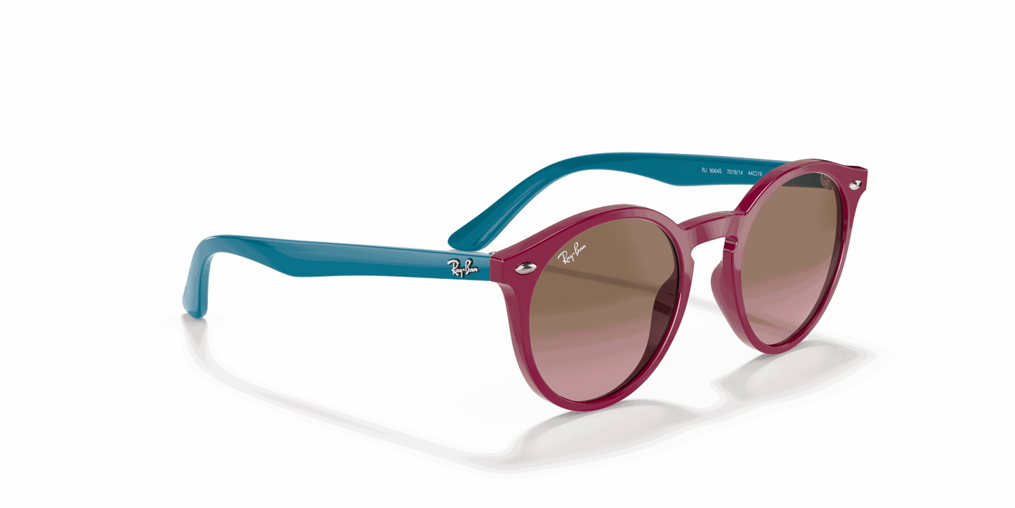 [Violet Gradient Brown Lenses, Polished Fuchsia Fluo Frame]