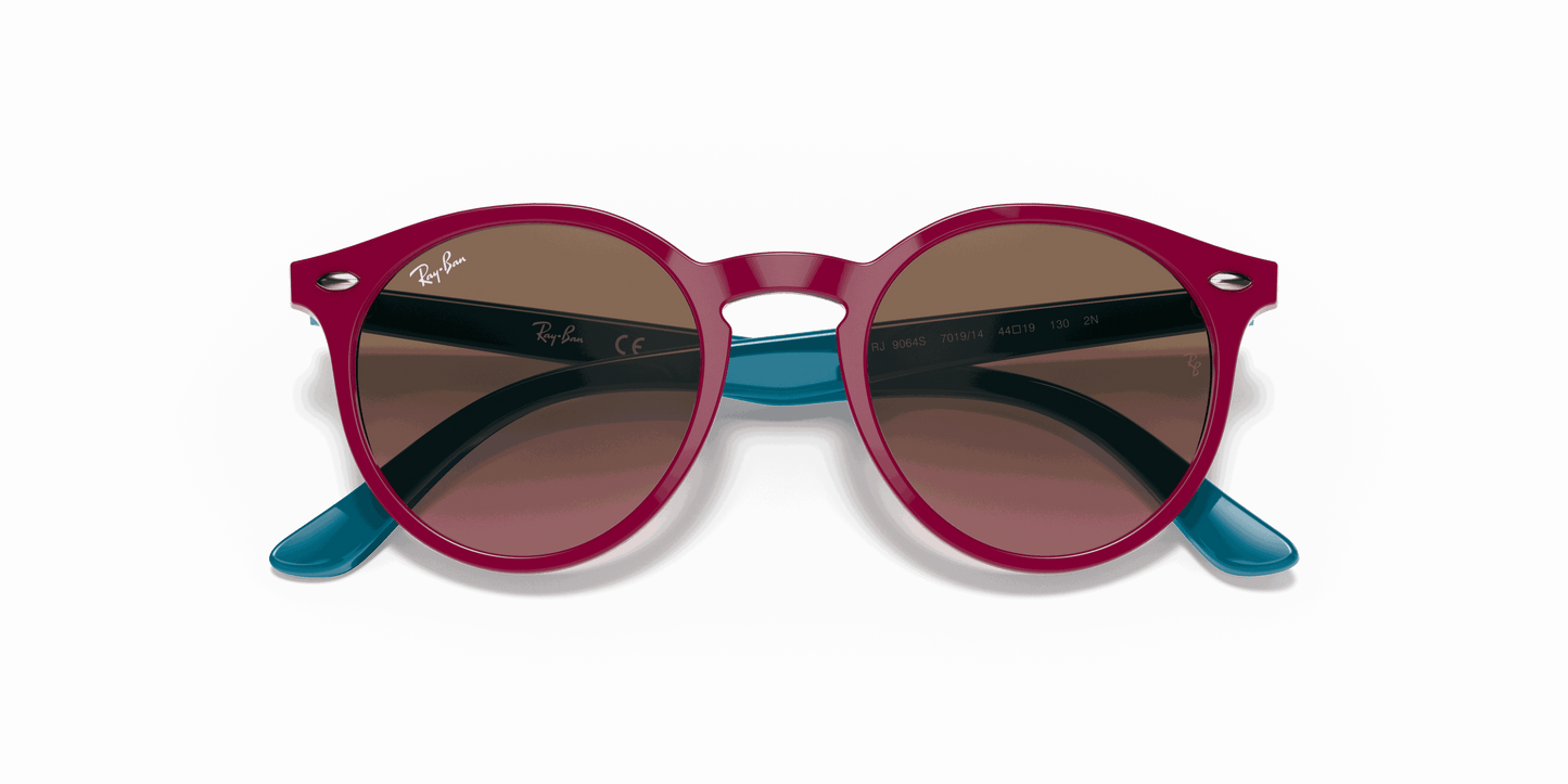 [Violet Gradient Brown Lenses, Polished Fuchsia Fluo Frame]