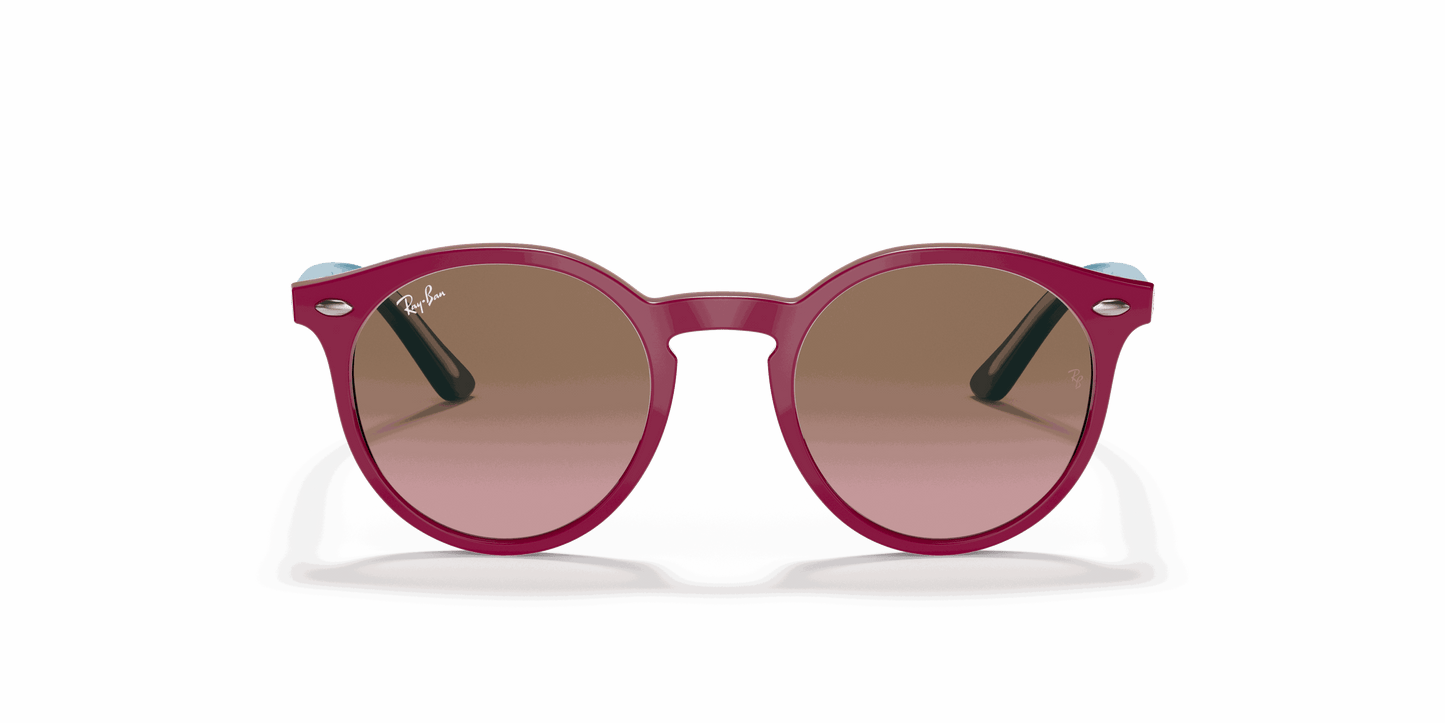 [Violet Gradient Brown Lenses, Polished Fuchsia Fluo Frame]