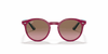 [Violet Gradient Brown Lenses, Polished Fuchsia Fluo Frame]