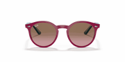 Violet Gradient Brown Lenses, Polished Fuchsia Fluo Frame