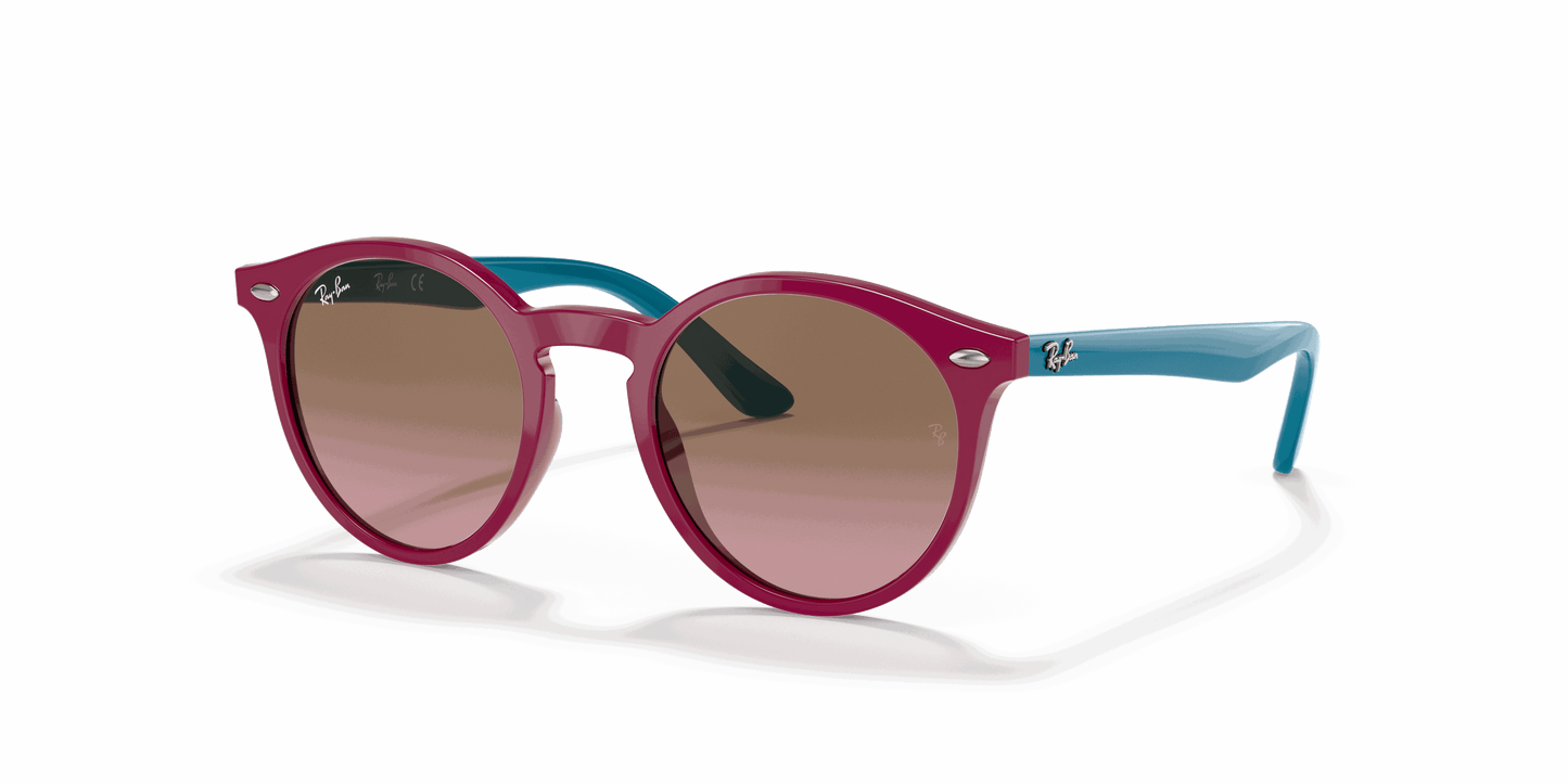 [Violet Gradient Brown Lenses, Polished Fuchsia Fluo Frame]