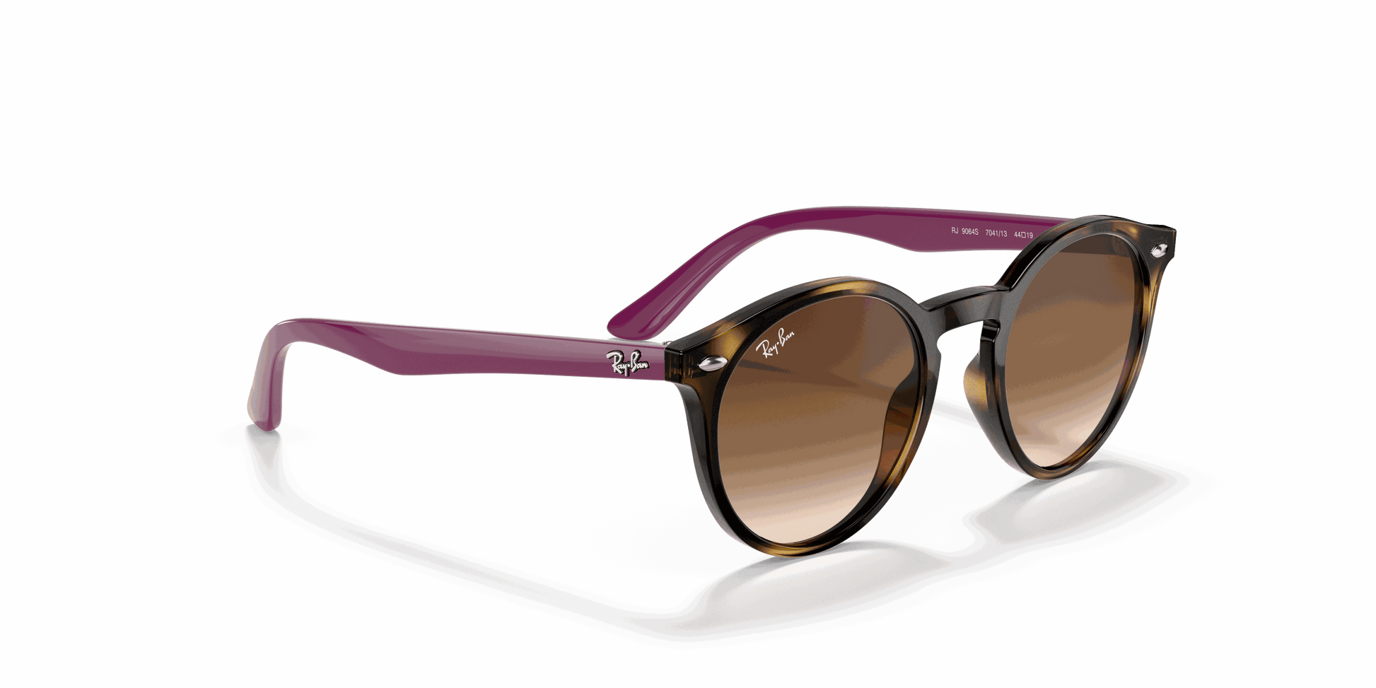 [Brown Gradient Dark Brown Lenses, Polished Havana Frame]