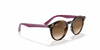 [Brown Gradient Dark Brown Lenses, Polished Havana Frame]