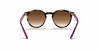 [Brown Gradient Dark Brown Lenses, Polished Havana Frame]