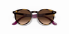 [Brown Gradient Dark Brown Lenses, Polished Havana Frame]