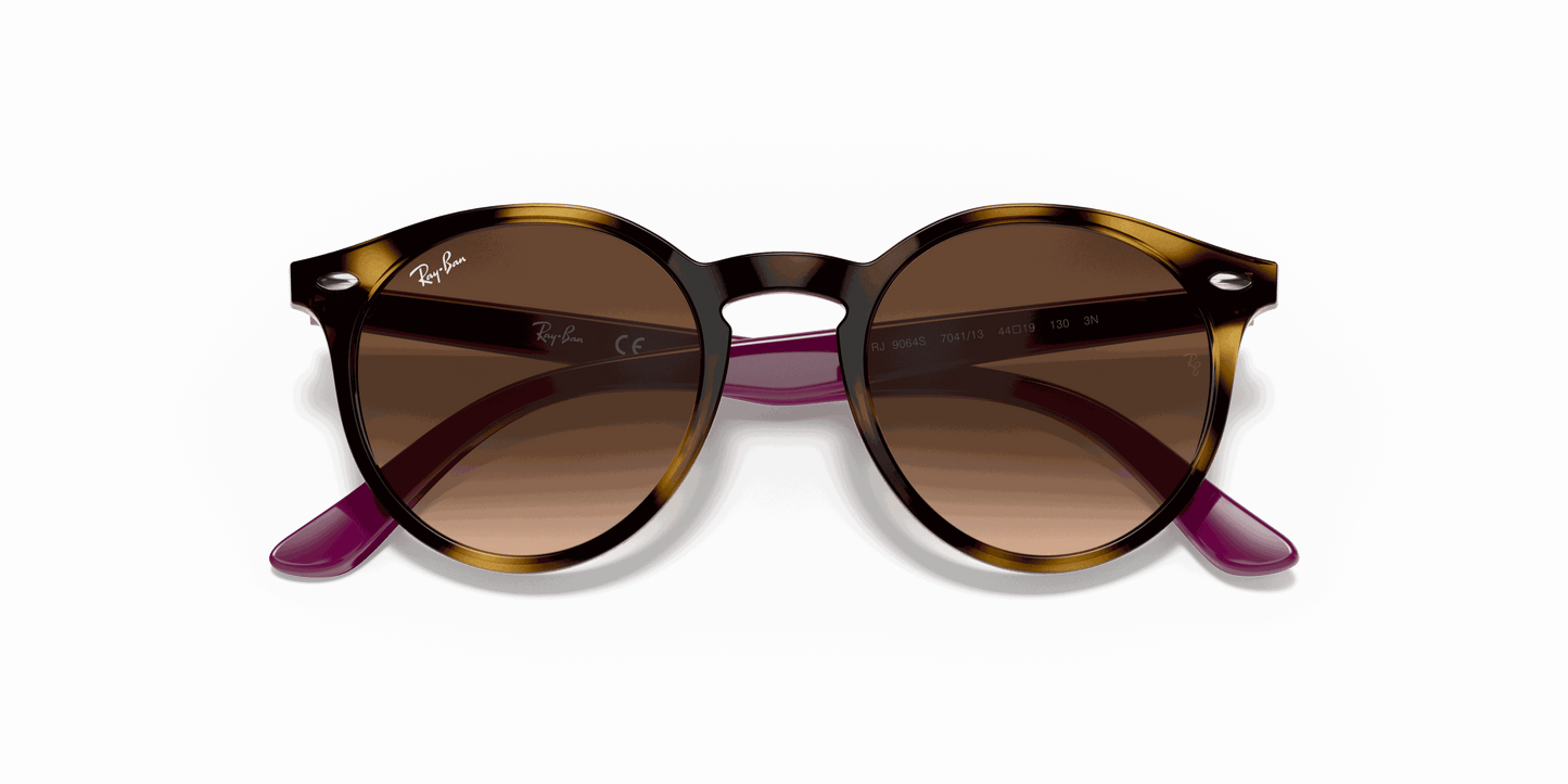[Brown Gradient Dark Brown Lenses, Polished Havana Frame]