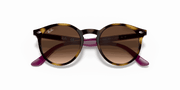 Brown Gradient Dark Brown Lenses, Polished Havana Frame