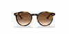 [Brown Gradient Dark Brown Lenses, Polished Havana Frame]