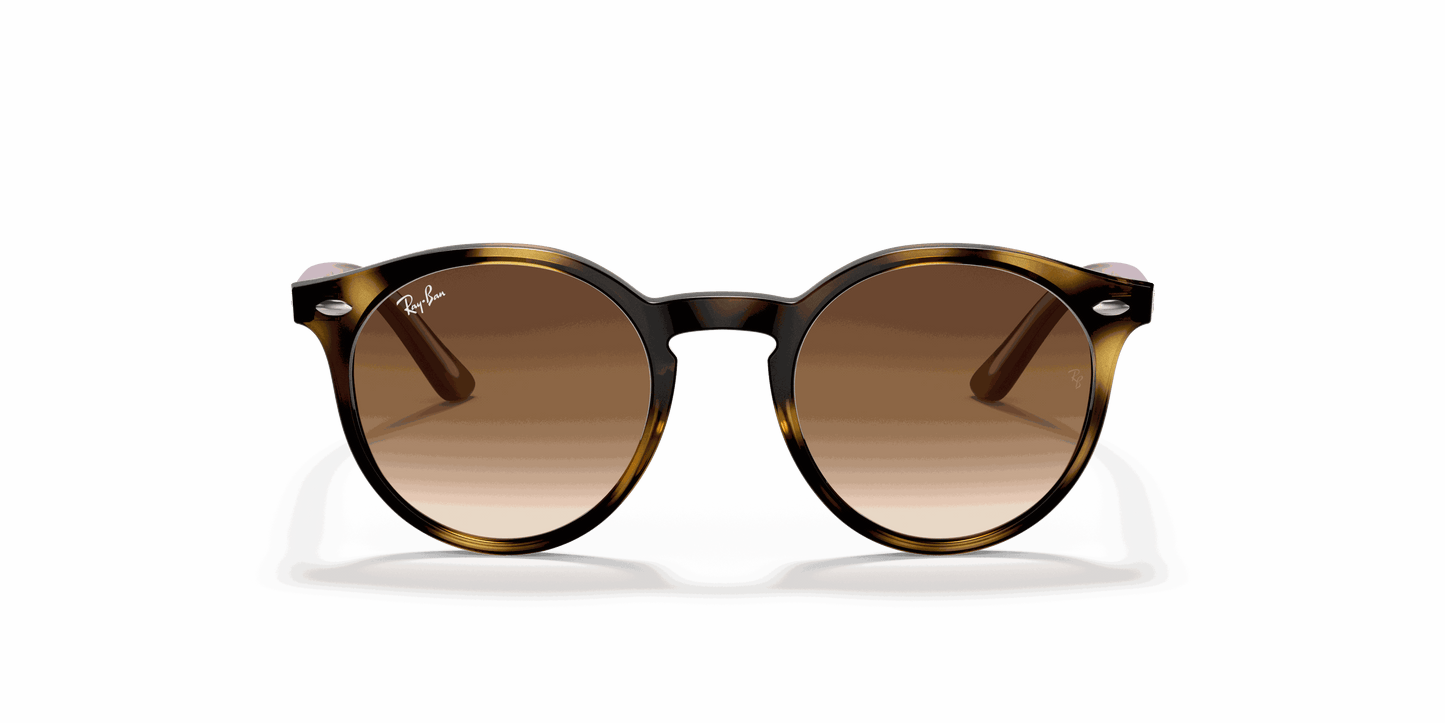 [Brown Gradient Dark Brown Lenses, Polished Havana Frame]