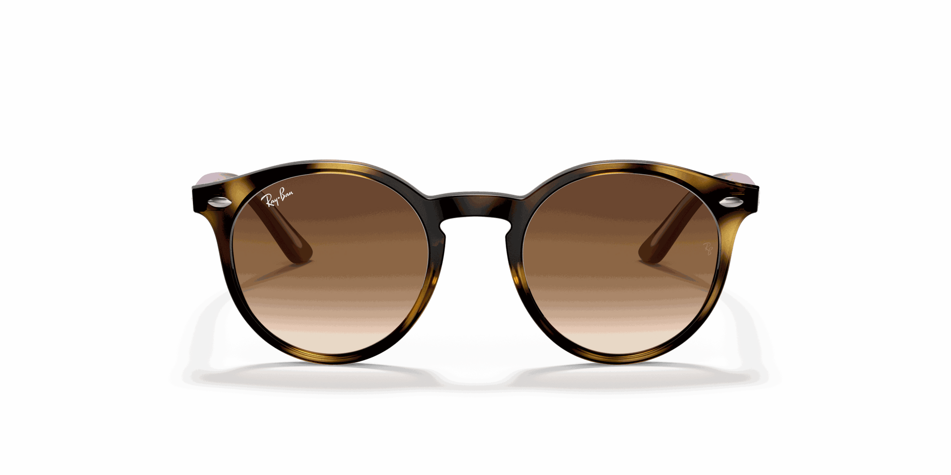 [Brown Gradient Dark Brown Lenses, Polished Havana Frame]