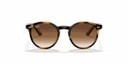 Brown Gradient Dark Brown Lenses, Polished Havana Frame