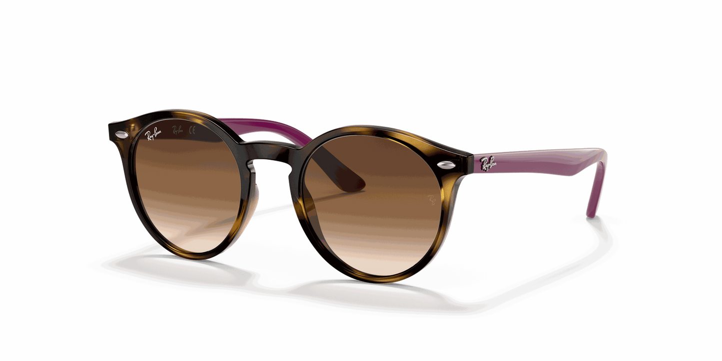 [Brown Gradient Dark Brown Lenses, Polished Havana Frame]