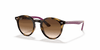 [Brown Gradient Dark Brown Lenses, Polished Havana Frame]