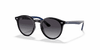 [Light Grey/Dark Grey Lenses, Polished Black Frame]