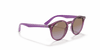 [Violet Gradient Brown Lenses, Polished Transparent Fuxia Frame]