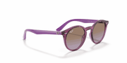 Violet Gradient Brown Lenses, Polished Transparent Fuxia Frame