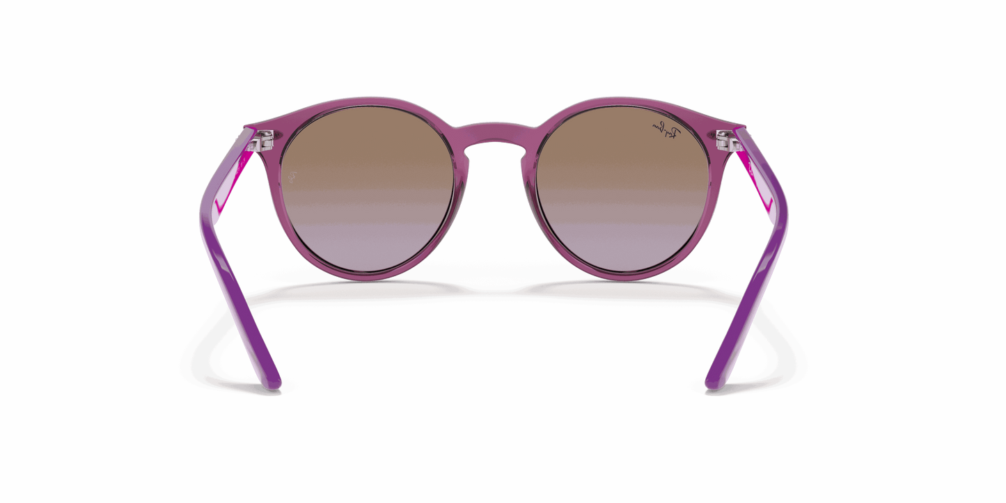 [Violet Gradient Brown Lenses, Polished Transparent Fuxia Frame]
