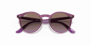 Violet Gradient Brown Lenses, Polished Transparent Fuxia Frame