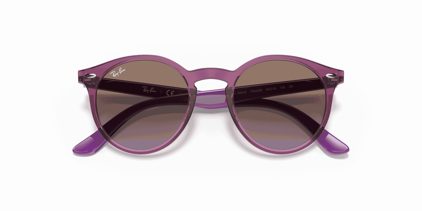 [Violet Gradient Brown Lenses, Polished Transparent Fuxia Frame]