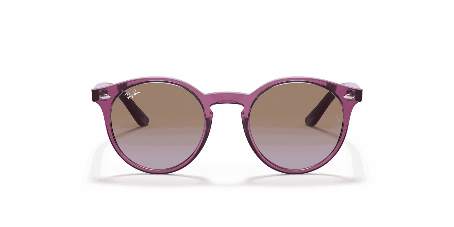 [Violet Gradient Brown Lenses, Polished Transparent Fuxia Frame]