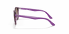 [Violet Gradient Brown Lenses, Polished Transparent Fuxia Frame]