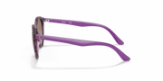 Violet Gradient Brown Lenses, Polished Transparent Fuxia Frame