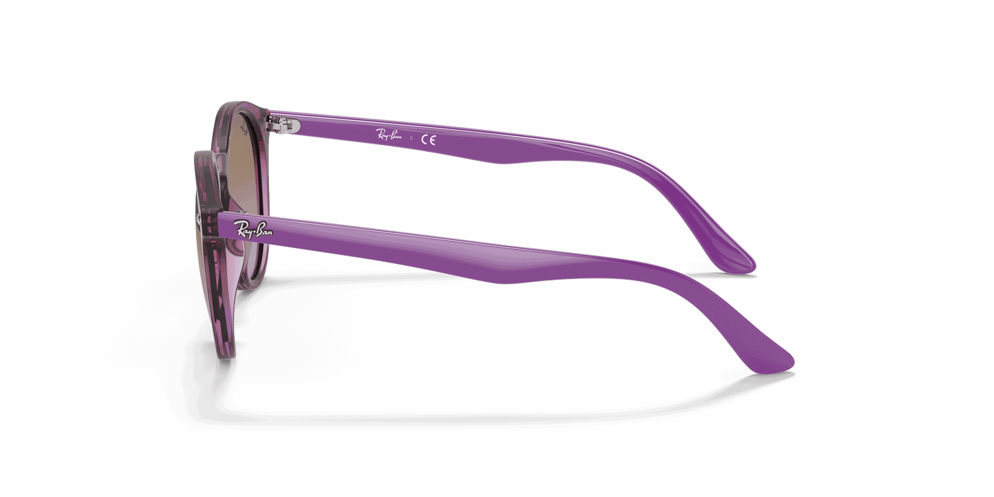 [Violet Gradient Brown Lenses, Polished Transparent Fuxia Frame]