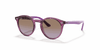 [Violet Gradient Brown Lenses, Polished Transparent Fuxia Frame]