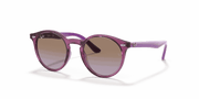 Violet Gradient Brown Lenses, Polished Transparent Fuxia Frame