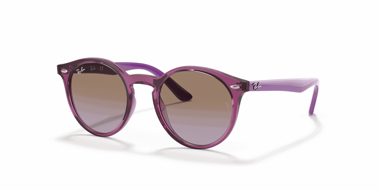 [Violet Gradient Brown Lenses, Polished Transparent Fuxia Frame]