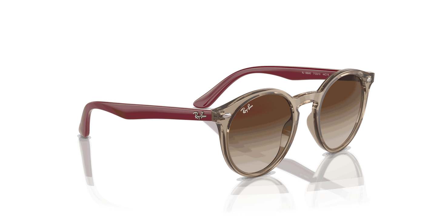 [Brown Lenses, Polished Transparent Brown Frame]