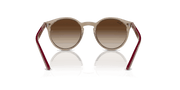 Brown Lenses, Polished Transparent Brown Frame