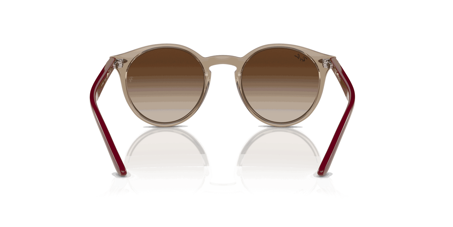 [Brown Lenses, Polished Transparent Brown Frame]