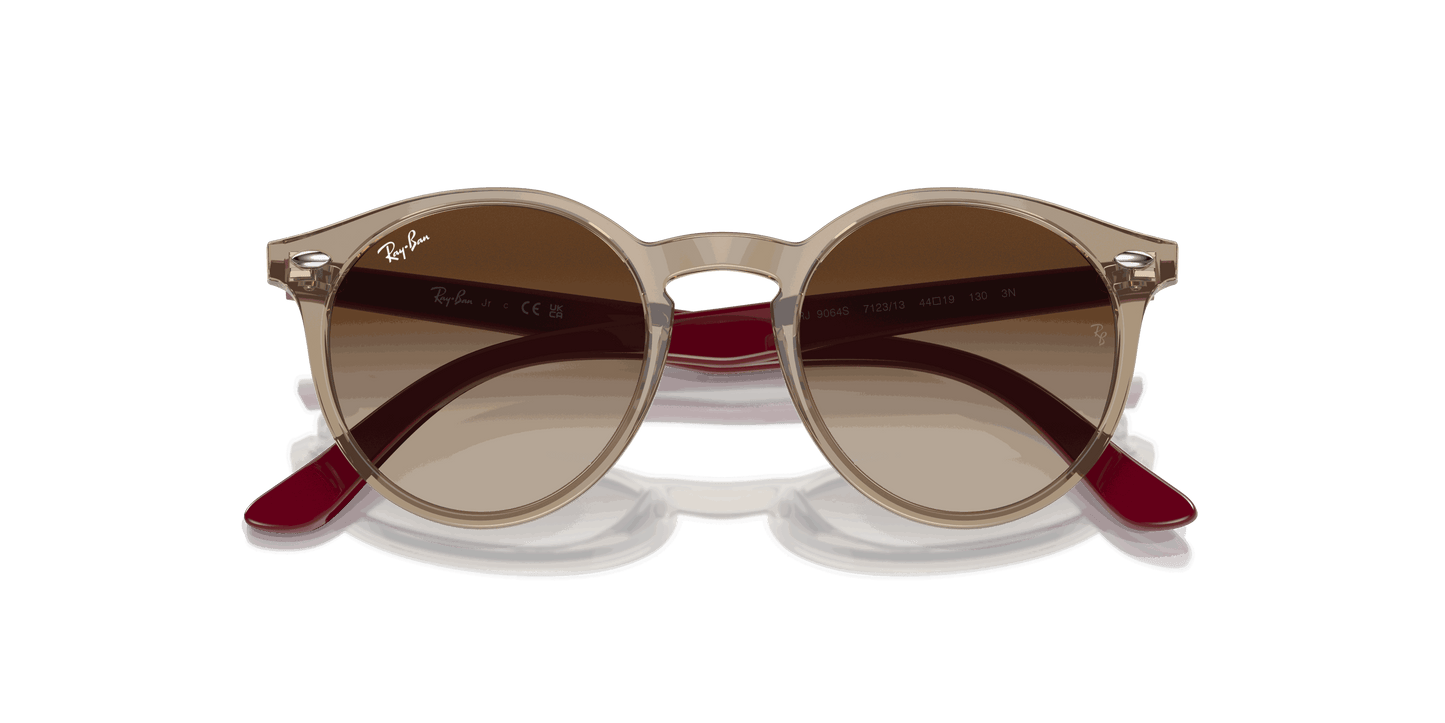 [Brown Lenses, Polished Transparent Brown Frame]