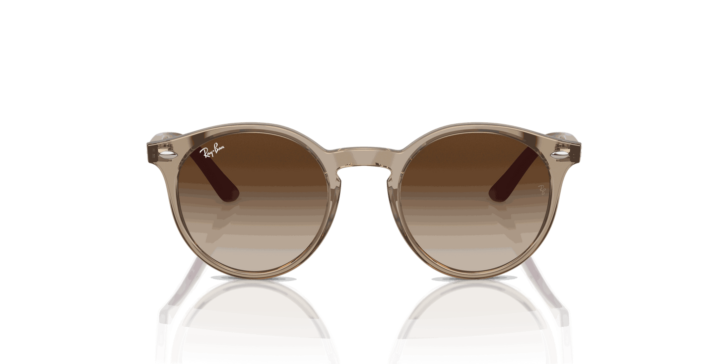 [Brown Lenses, Polished Transparent Brown Frame]