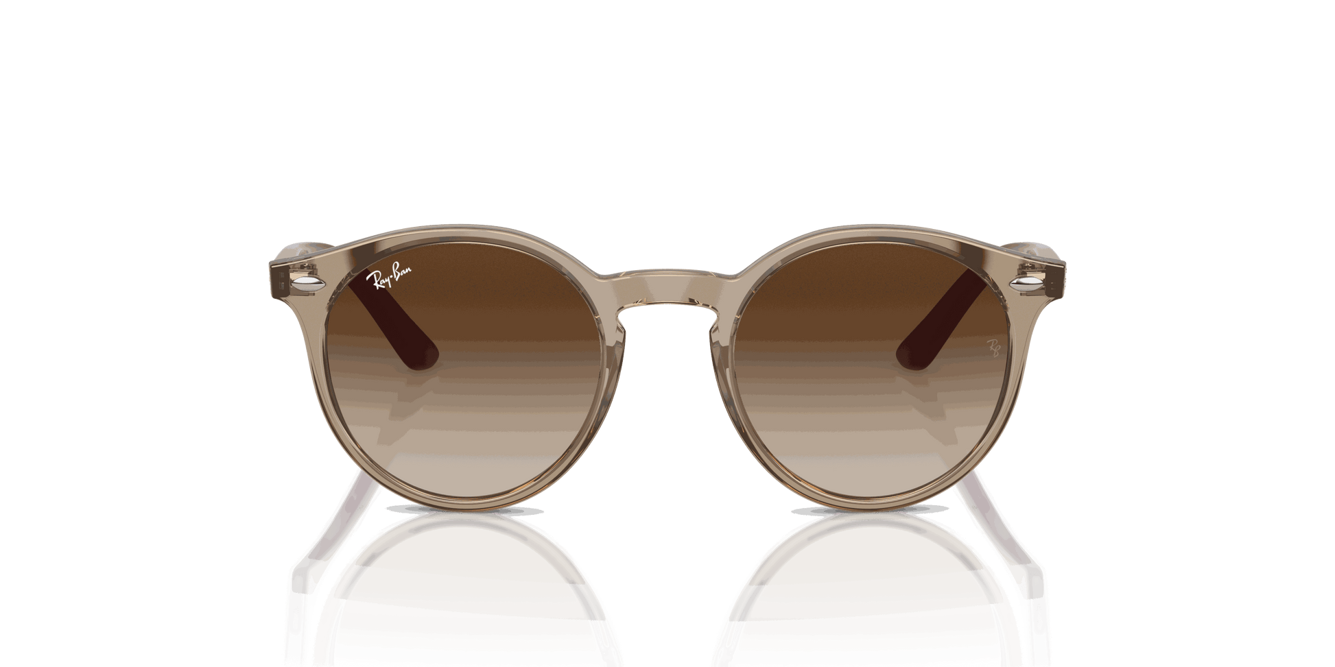 [Brown Lenses, Polished Transparent Brown Frame]