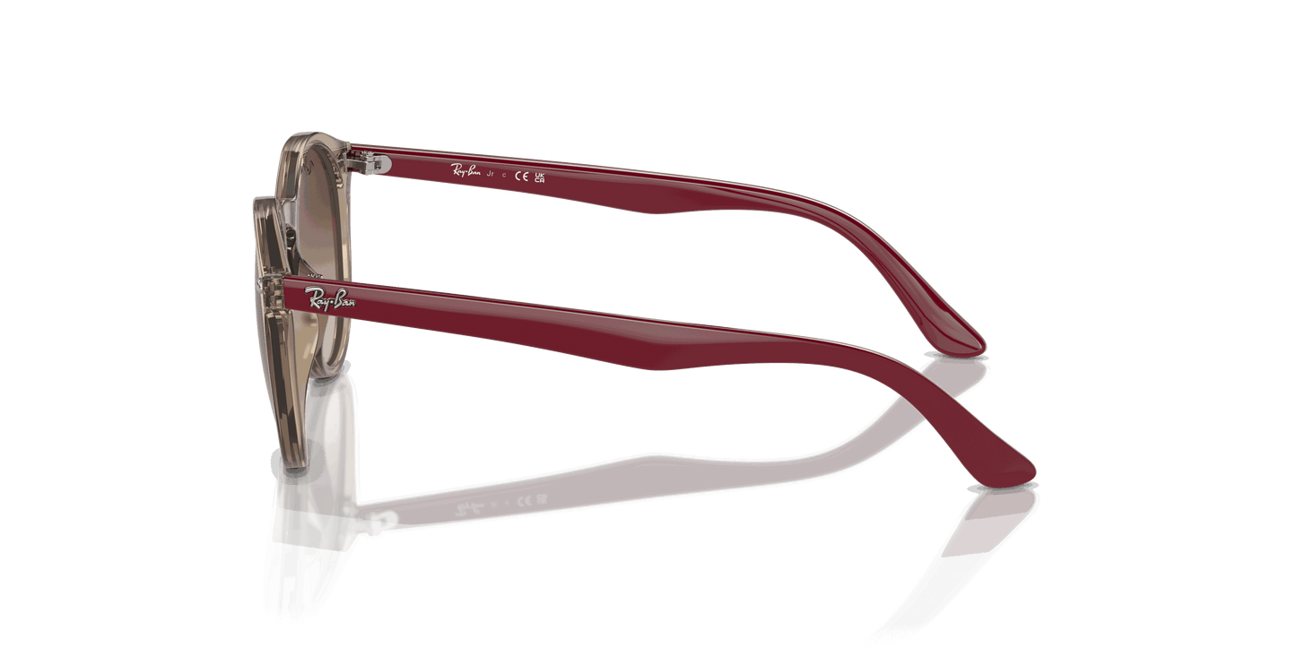 [Brown Lenses, Polished Transparent Brown Frame]