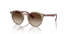 [Brown Lenses, Polished Transparent Brown Frame]