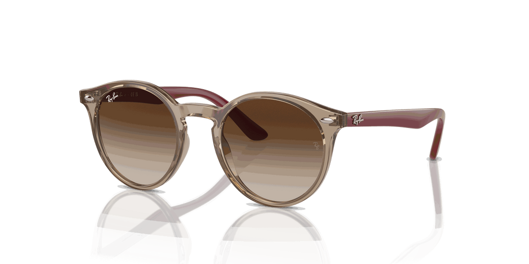 [Brown Lenses, Polished Transparent Brown Frame]