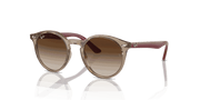 Brown Lenses, Polished Transparent Brown Frame