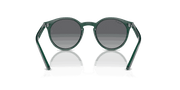 Grey Lenses, Polished Opal Green Frame