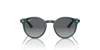 [Grey Lenses, Polished Opal Green Frame]