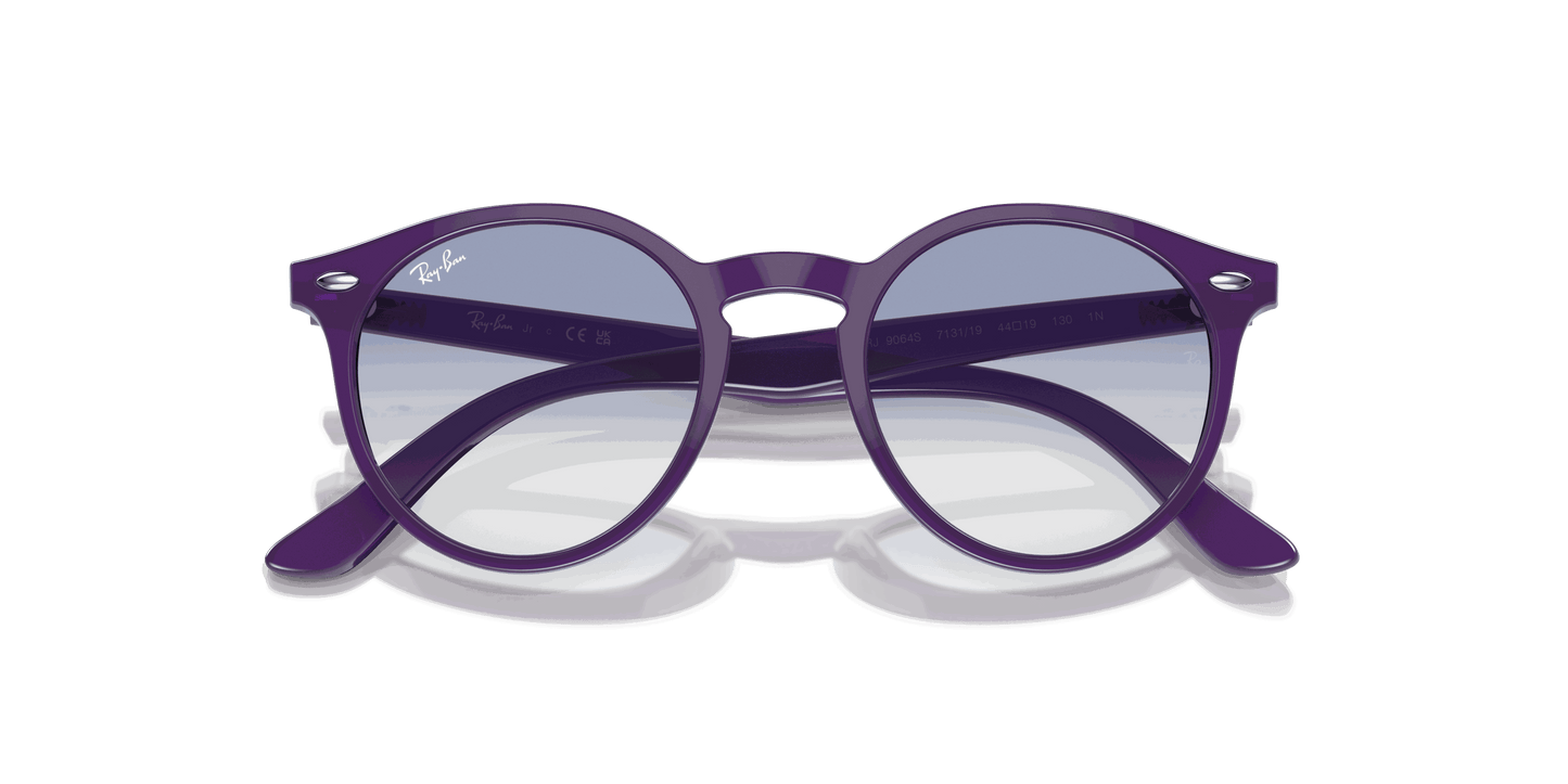 [Blue Lenses, Polished Opal Violet Frame]