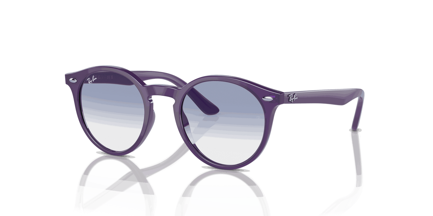 [Blue Lenses, Polished Opal Violet Frame]