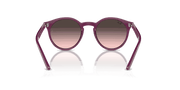 Pink Grey Lenses, Polished Cherry Frame