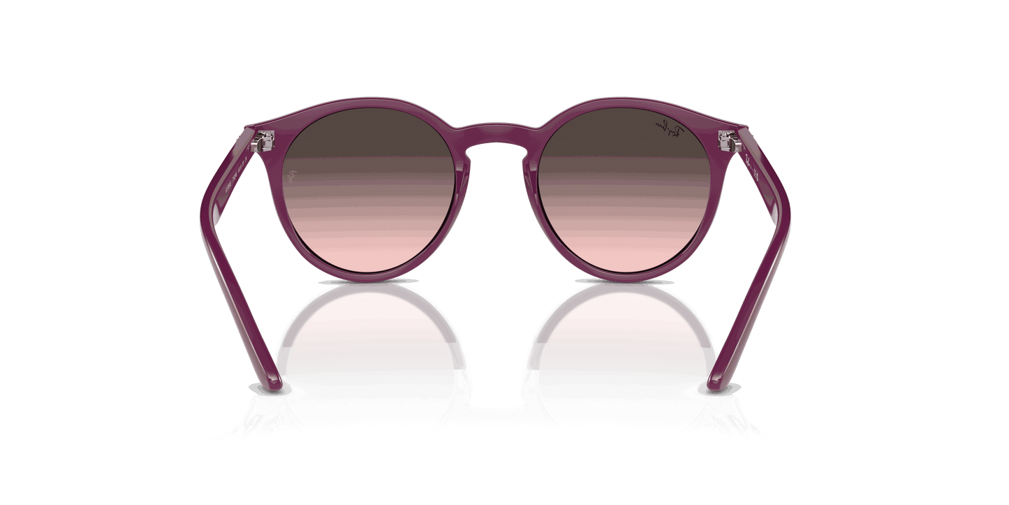 [Pink Grey Lenses, Polished Cherry Frame]